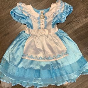 Alice in Wonderland costume